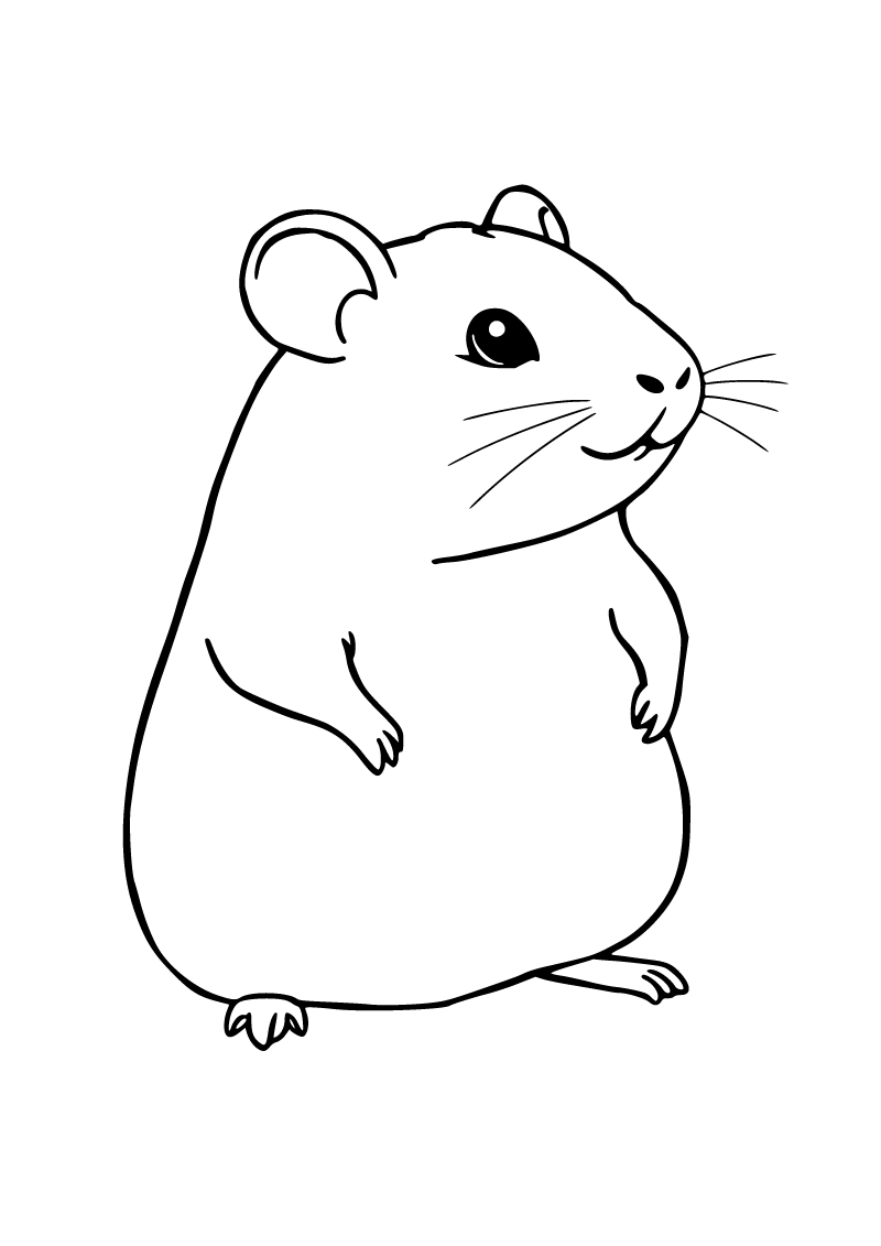 Printable hamster coloring page for kids
