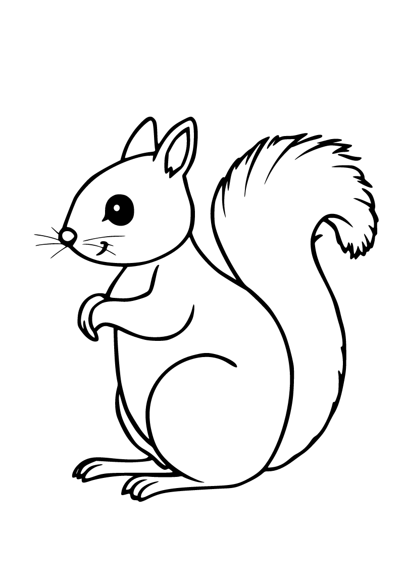 Printable squirrel coloring page for kids