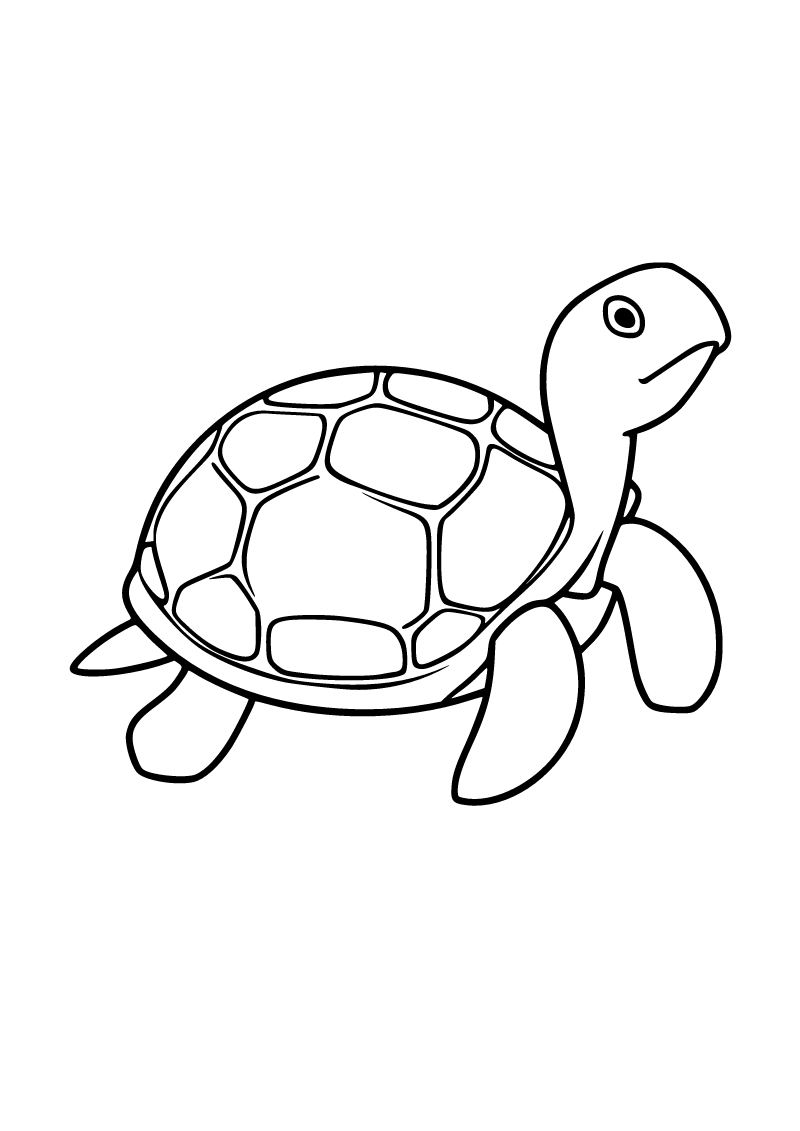 Printable turtle coloring page for kids