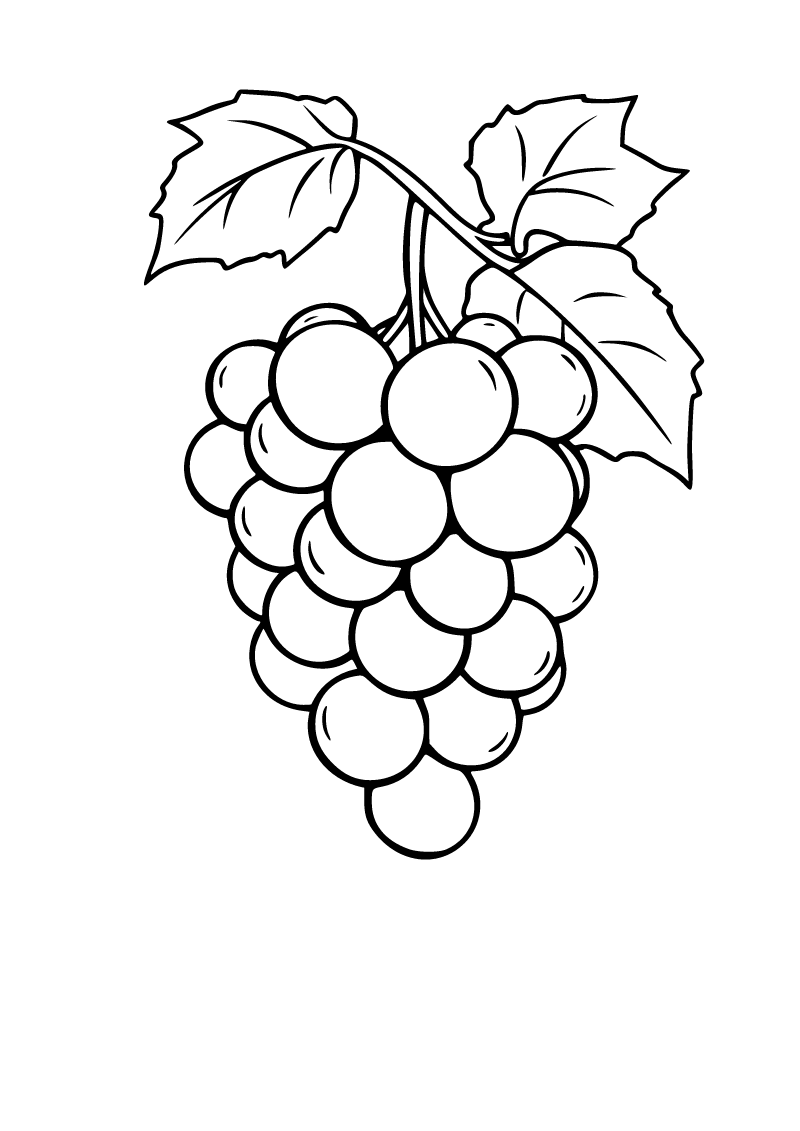 Printable grapes coloring page for kids