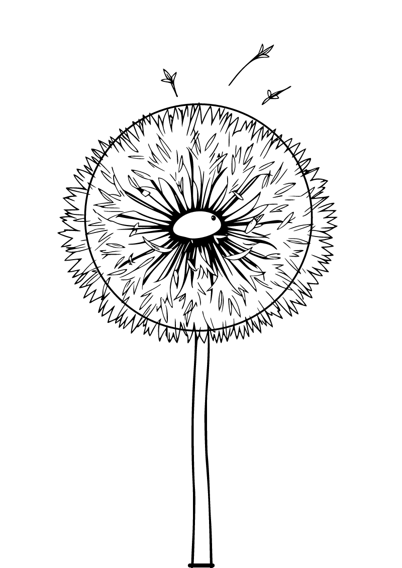 Printable dandelion coloring page for kids