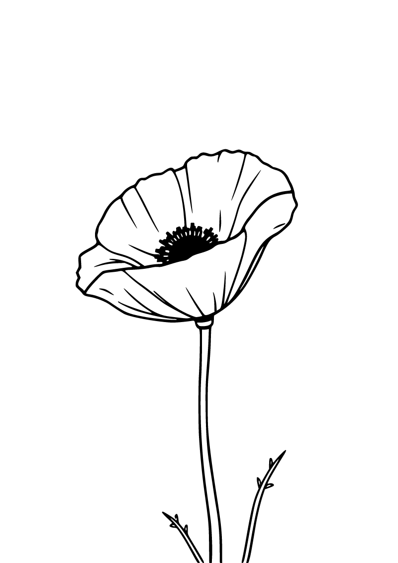 Printable poppy coloring page for kids